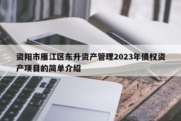 资阳市雁江区东升资产管理2023年债权资产项目的简单介绍