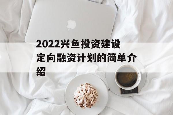 2022兴鱼投资建设定向融资计划的简单介绍