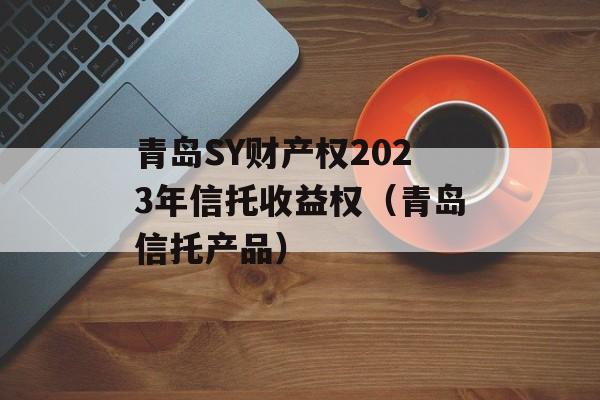 青岛SY财产权2023年信托收益权（青岛信托产品）