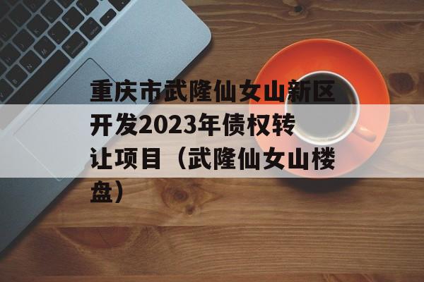 重庆市武隆仙女山新区开发2023年债权转让项目（武隆仙女山楼盘）